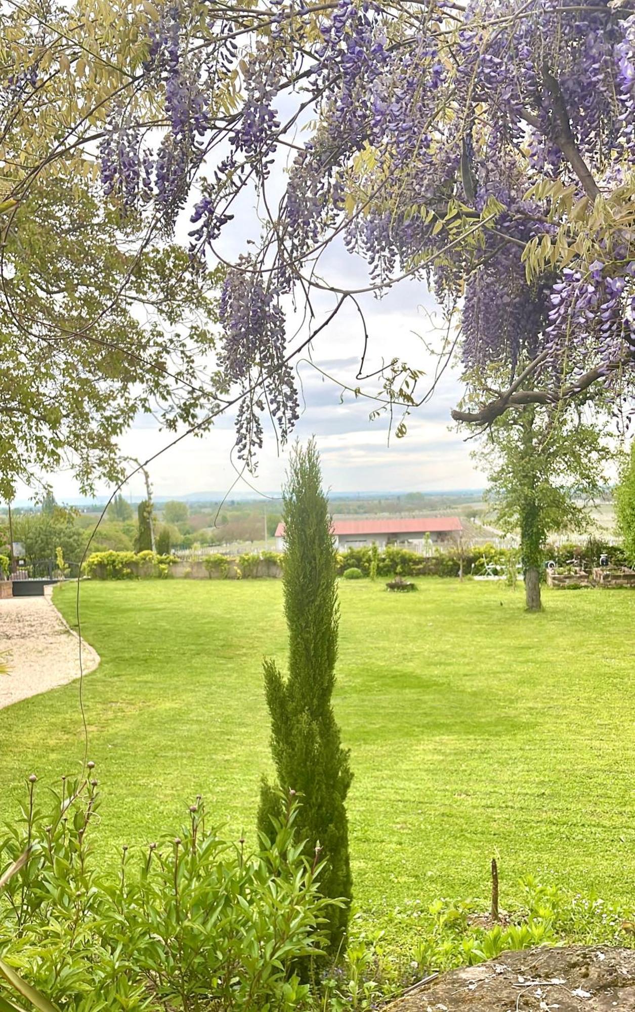 Delange Landau in der Pfalz